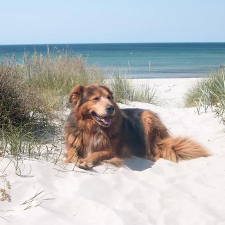 Ausblick Haushaelfte