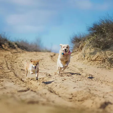 公寓 Ausblick Haushaelfte Stahlbrode