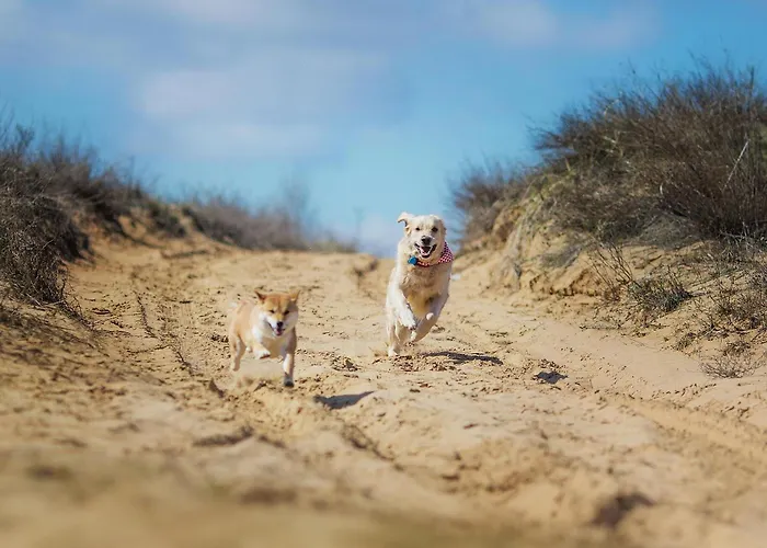 Apartamento Ausblick Haushaelfte Stahlbrode
