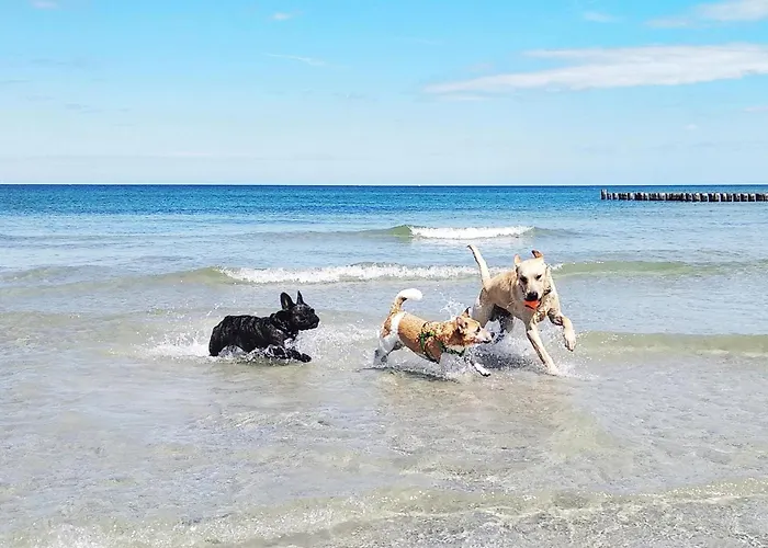 Ausblick Haushaelfte Apartamento Stahlbrode
